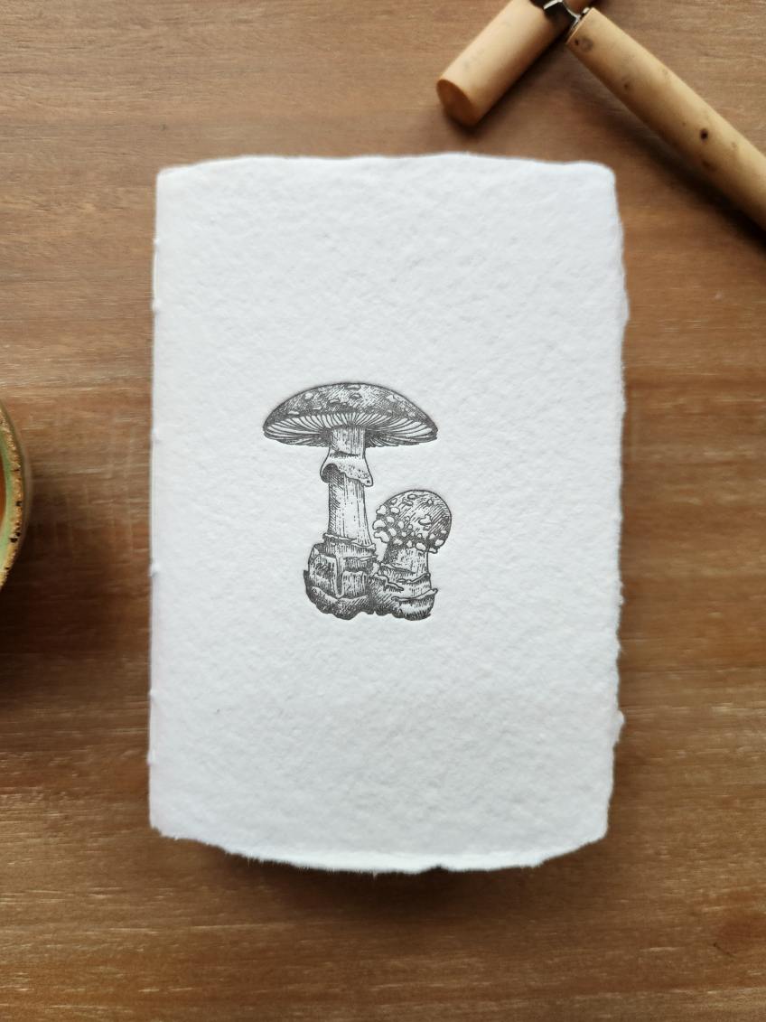 Bolete Mushroom Letterpress Notebook