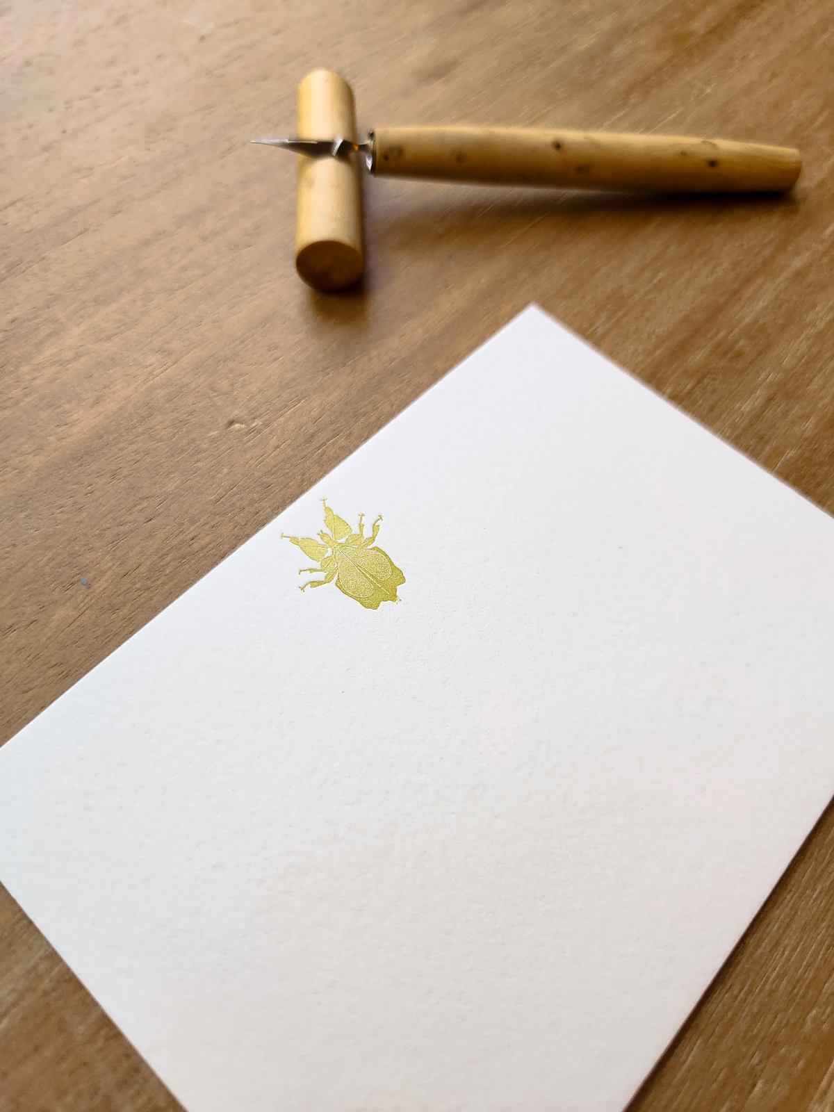 Leaf Bug Letterpress Notecards