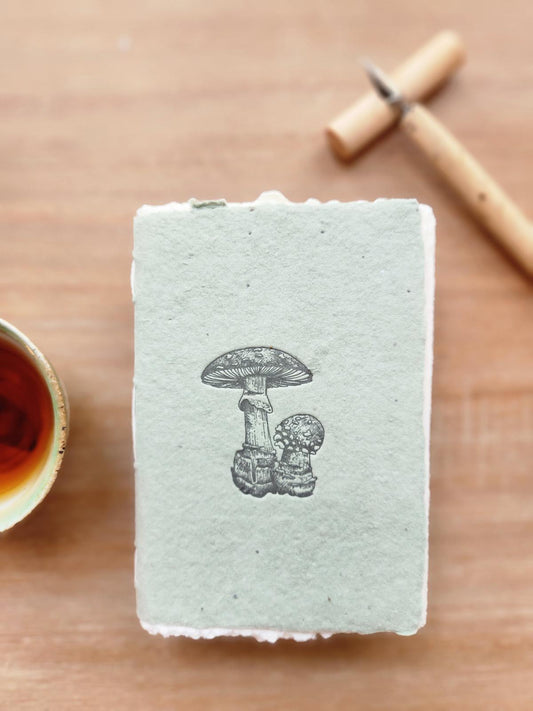 Bolete Mushroom Letterpress Notebook