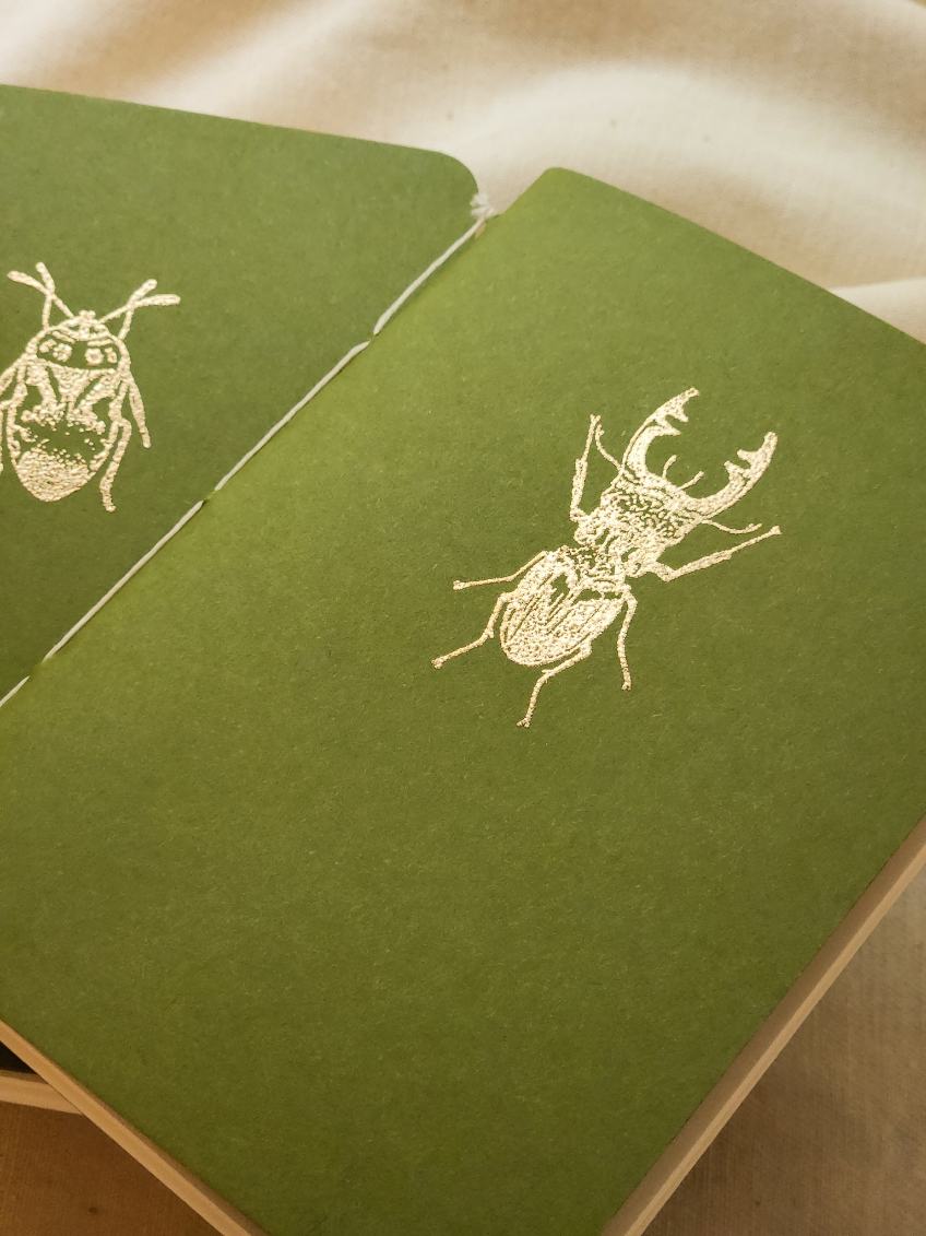 Beetle Pocket Notebooks